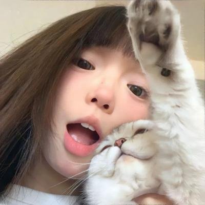 托梅斯的导盲犬